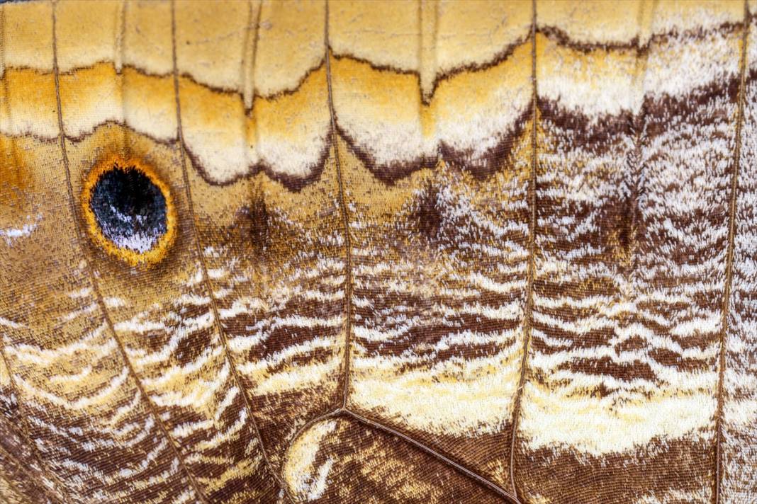 Konya’nın ünlü bahçesindeki detaylar tüyler ürpertti: İyi ki küçükler 12